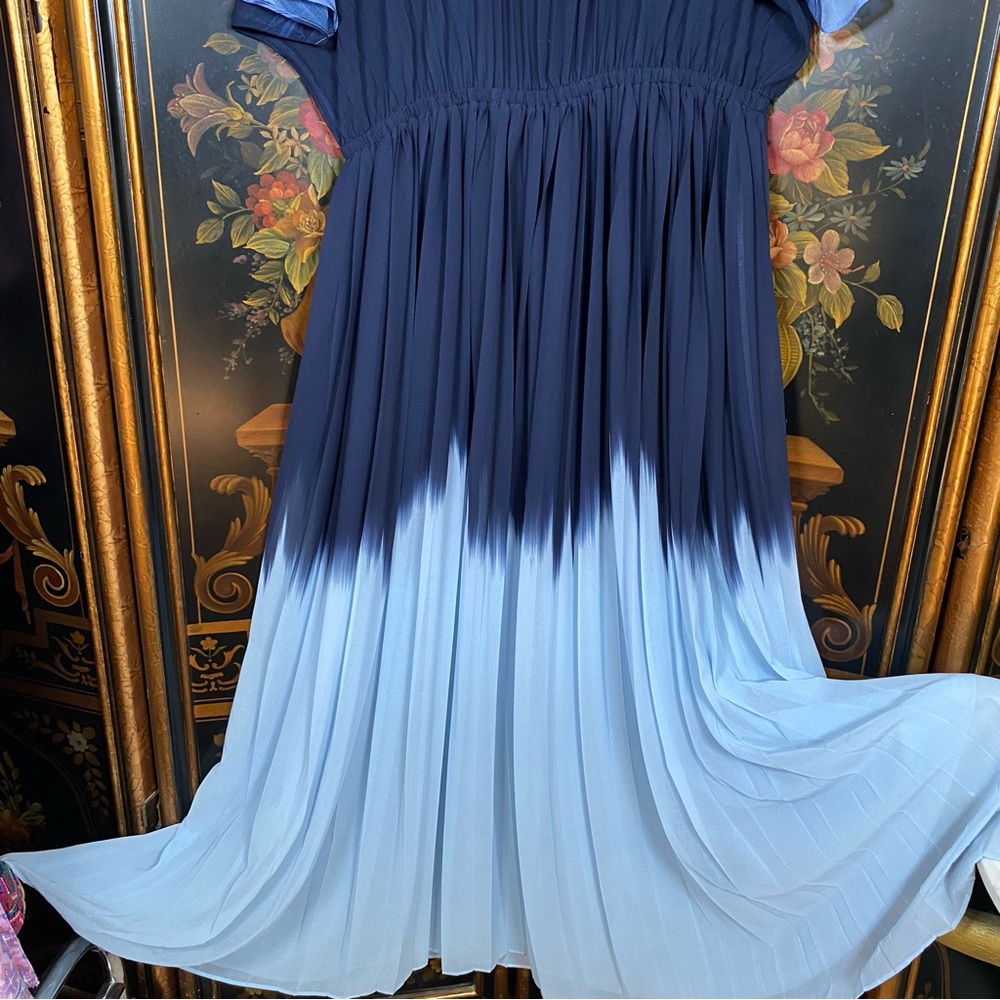 Banana Republic Chiffon Pleated Maxi Dress - Picture 7 of 9